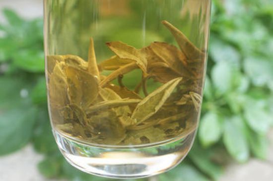 茉莉龍珠泡開后為什么都是梗，茉莉龍珠泡開后什么樣？