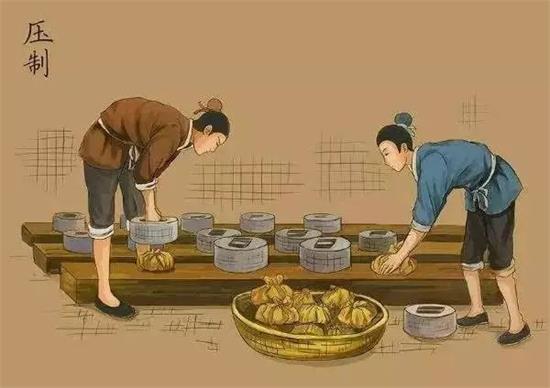 制茶八步驟，制茶工藝流程圖