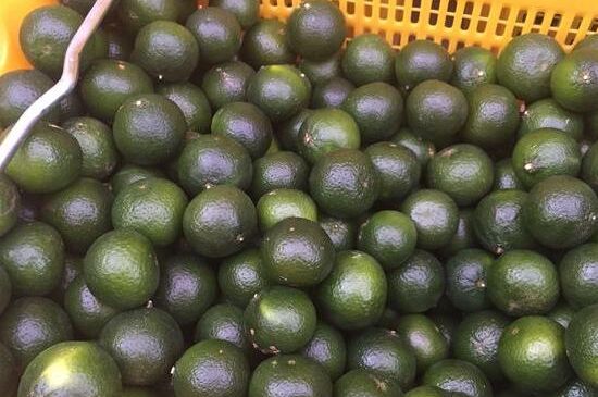 家庭自制柑普茶方法，小青柑制作9個步驟竅門（圖片）