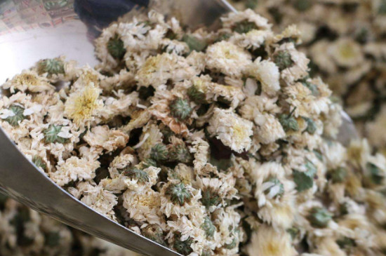 菊花茶買小朵還是大朵，泡茶用的小菊花和大菊花哪個好