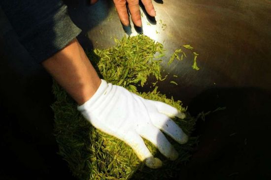 茶葉怎么炒制才香，怎樣炒茶葉更香？