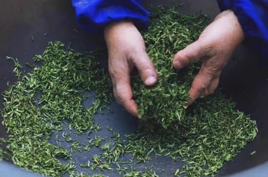 自家炒茶葉怎么炒，自己炒茶葉的步驟