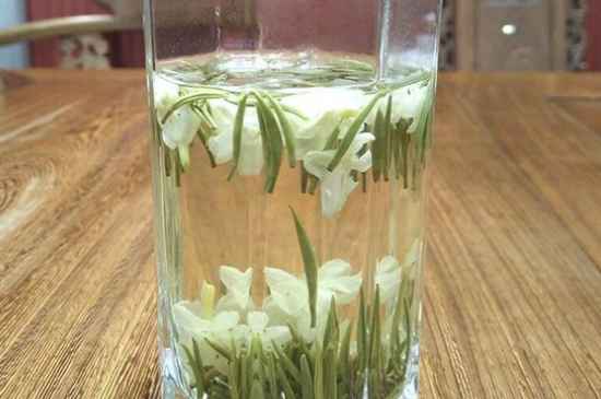 女孩喝茉莉茶的好處，茉莉茶葉的功效與禁忌