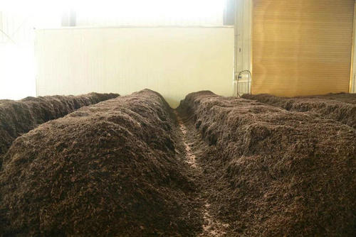 制茶八步驟，制茶工藝流程圖