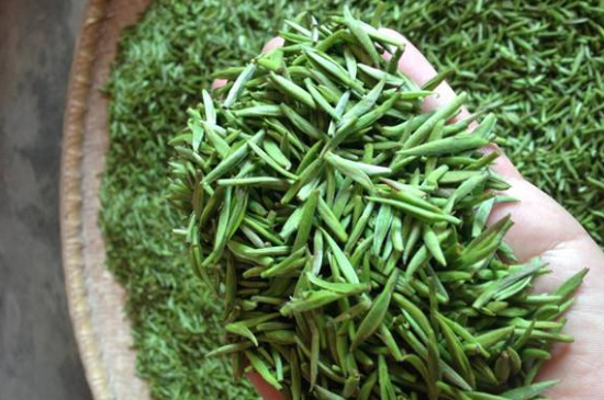 采茶的方法與步驟，如何正確采摘茶葉？