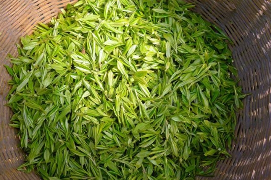 烏牛早和龍井的區(qū)別圖片，龍井43號(hào)和烏牛早茶的對比