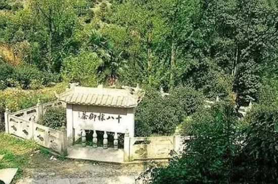 母樹大紅袍給誰喝了，為什么母樹大紅袍叫三棵六株？