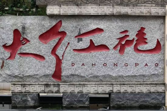 母樹大紅袍給誰喝了，為什么母樹大紅袍叫三棵六株？