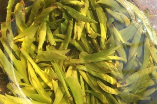 龍井是明前的好還是雨前的好，明前茶和雨前茶哪個(gè)好喝？