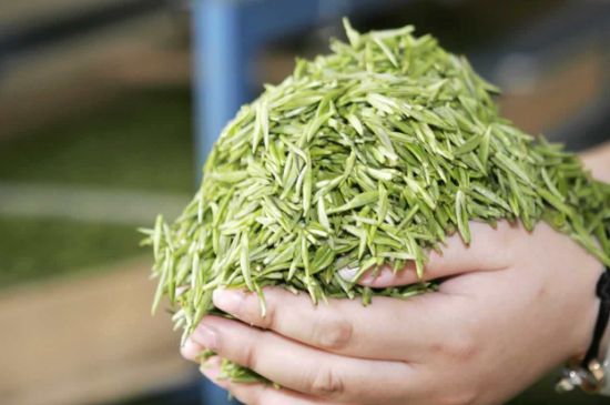 高山云霧茶屬于什么茶，高山云霧茶哪里的最好