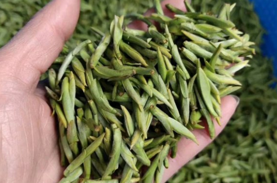 龍井茶好壞的鑒別圖片，如何區(qū)別龍井茶的好壞？