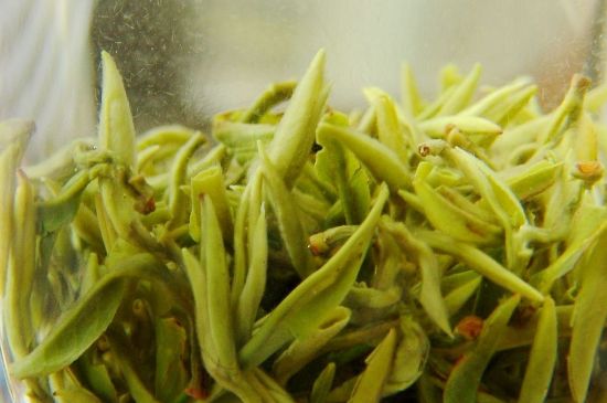 碧螺春為什么泡水渾濁，碧螺春茶葉泡水感覺很臟是混濁的