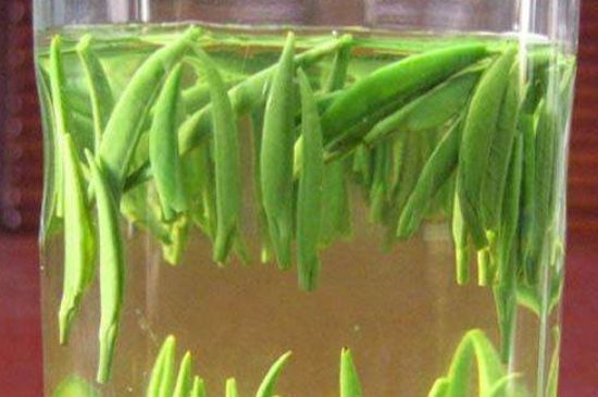 竹葉青和毛尖的區(qū)別，毛尖和竹葉青怎么分辨？