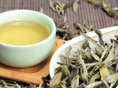 大紅袍好還是白茶好，福鼎白茶和大紅袍哪個貴？