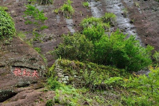武夷巖茶大紅袍，喝起來是什么味道？