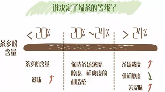 什么綠茶口味重口感濃郁，口味比較重的綠茶都有那些？