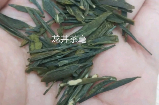 西湖龍井茶毫和發(fā)霉區(qū)別圖片，長霉的龍井茶葉會(huì)是什么樣？