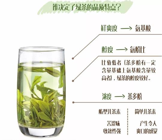 什么綠茶口味重口感濃郁，口味比較重的綠茶都有那些？