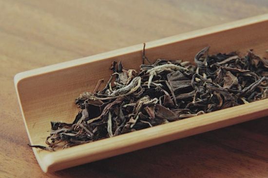 怎么撬老白茶茶餅不容易碎，福鼎白茶如何撬茶方法