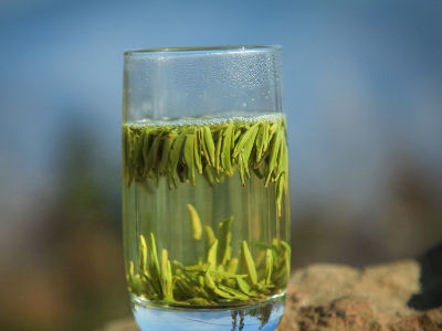 竹葉青茶怎么樣，檔次較高味道略苦價(jià)格比較貴