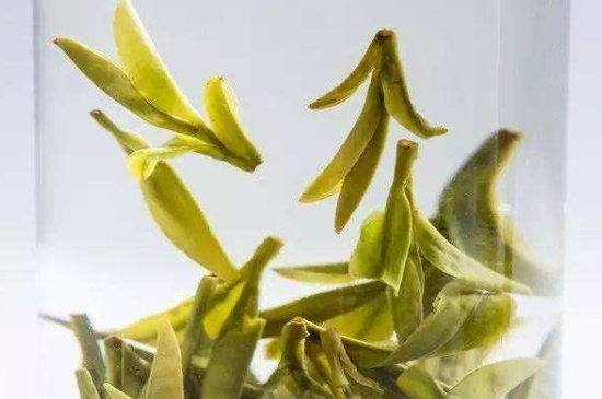 烏牛早和龍井的區(qū)別圖片，龍井43號(hào)和烏牛早茶的對比