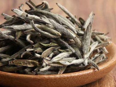 白茶有哪些品種排名，<a href=http://www.jiaodonghuabobo.com/fenlei/baicha/ target=_blank class=infotextkey>白茶的種類</a>大全