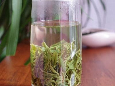 竹葉青和毛尖的區(qū)別，竹葉青和信陽毛尖哪個好？