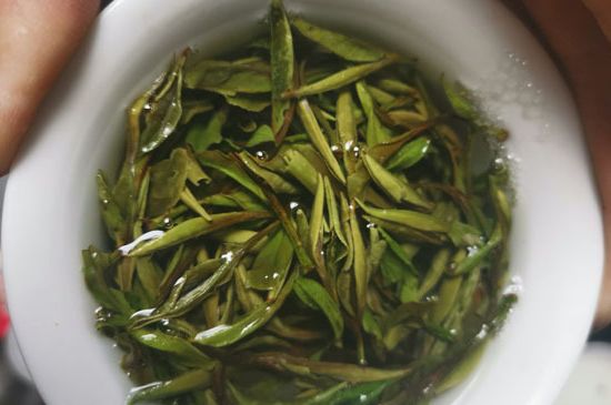 什么人不能喝白茶，白茶不宜什么人喝？