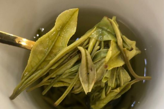 新舊白茶怎么區(qū)分，怎么分辨白茶是新還是舊