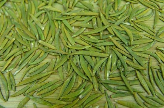 竹葉青和毛尖的區(qū)別，毛尖和竹葉青怎么分辨？