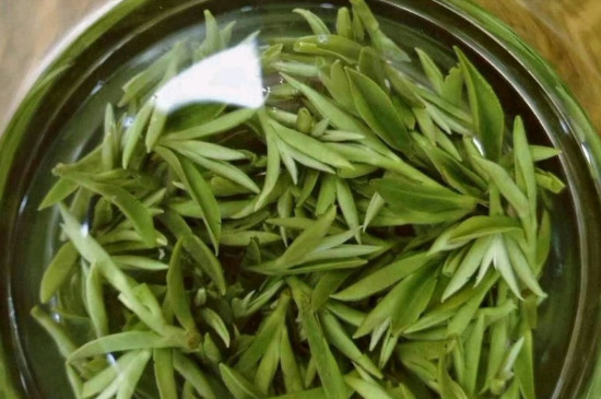 什么綠茶茶葉唇齒留香，哪個(gè)品種綠茶香氣好？