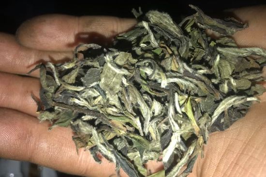 7年壽眉和2年白牡丹哪個(gè)好，老白茶壽眉與白牡丹的口感區(qū)別