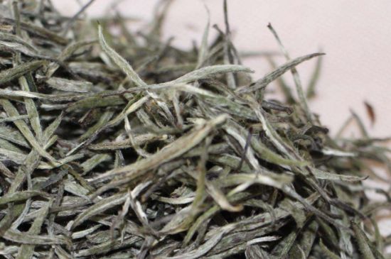 什么人不能喝白茶，白茶不宜什么人喝？