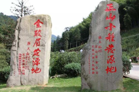 300塊錢(qián)的金駿眉能喝嗎，兩三百多金駿眉和一千多區(qū)別