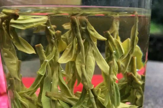 什么綠茶最香最好喝，綠茶口感與香氣排名