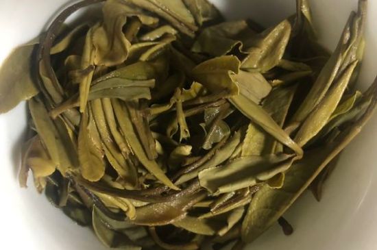 三年白茶賽砒霜，這是真的嗎？