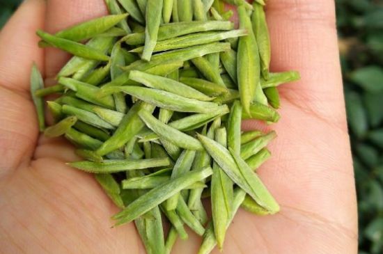 什么綠茶味道濃香，那個綠茶比較濃香？