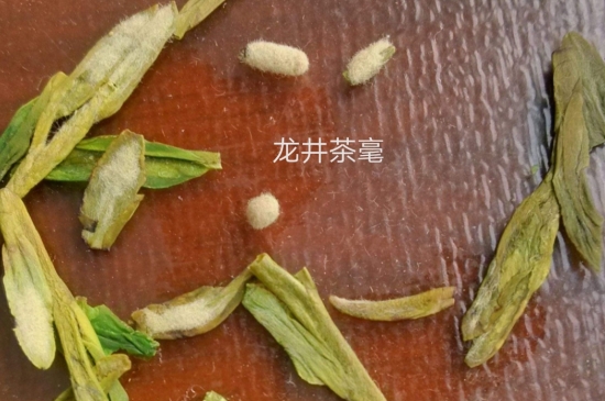西湖龍井茶毫和發(fā)霉區(qū)別圖片，長霉的龍井茶葉會(huì)是什么樣？