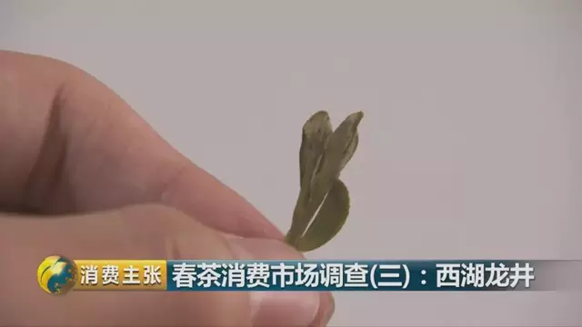 龍井群體種和43號的區(qū)別圖片，龍井43和群體種哪個好喝？