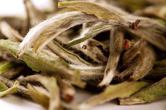 荒野銀針有什么特點，荒野銀針的味道口感咋樣？