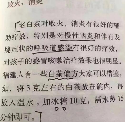 老白茶上火還是去火？夏季喝煮的老白茶會(huì)容易上火！