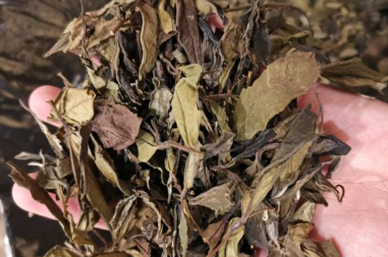 新舊白茶怎么區(qū)分，怎么分辨白茶是新還是舊