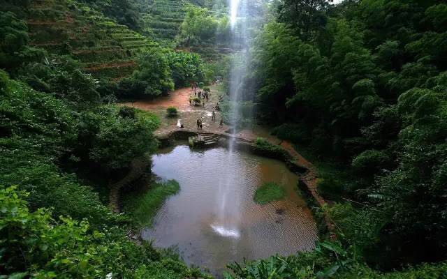 武夷山為什么盛產(chǎn)茶葉，武夷山茶為什么好喝？