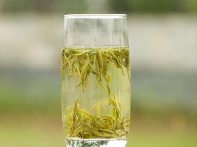 霍山黃芽算是好茶嗎，霍山黃芽屬于什么茶？