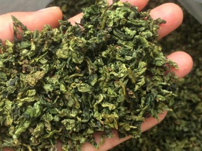 鐵觀音毛茶茶梗可以泡水喝嗎，鐵觀音帶梗是不是好茶？