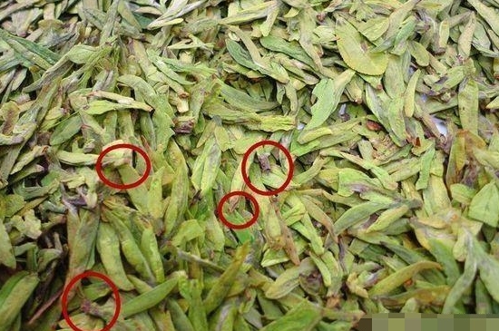 烏牛早和龍井的區(qū)別圖片，龍井43號(hào)和烏牛早茶的對比