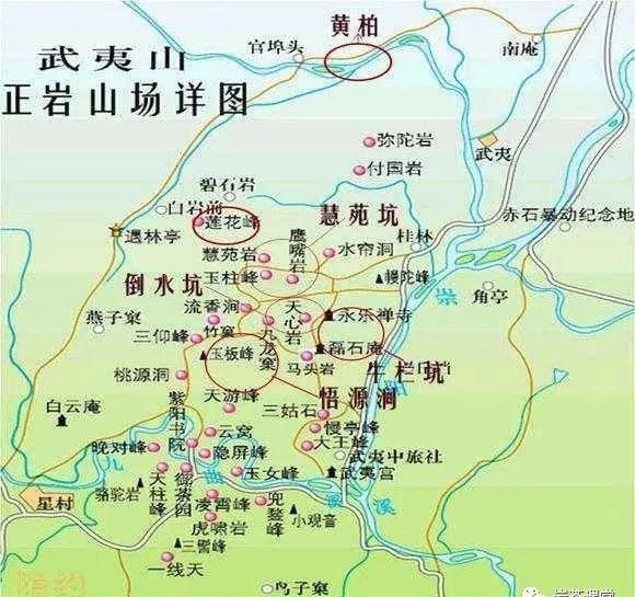 300塊錢(qián)的金駿眉能喝嗎，兩三百多金駿眉和一千多區(qū)別