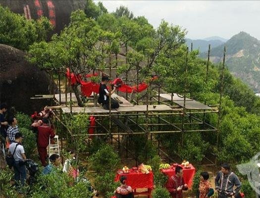 宋種一號價值為什么高，鳳凰單樅宋種1號價格與產(chǎn)量多少？