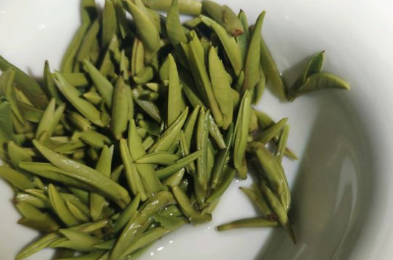 竹葉青茶怎么泡，竹葉青如何沖泡