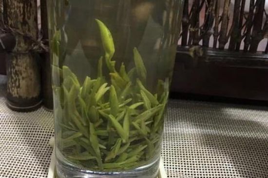 金壇雀舌什么檔次，金壇雀舌算不算好茶？